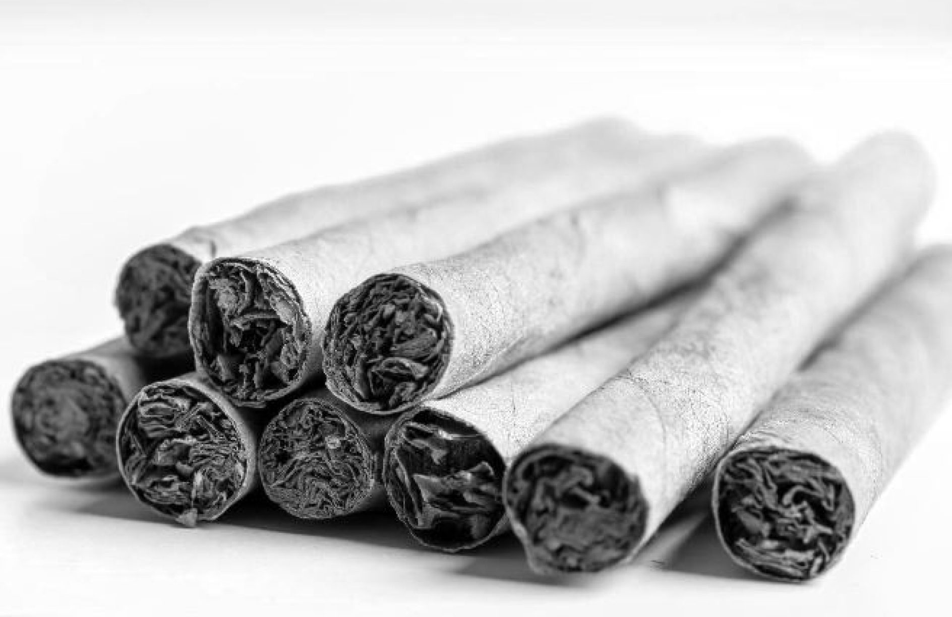 lectura-de-tabaco-burgos